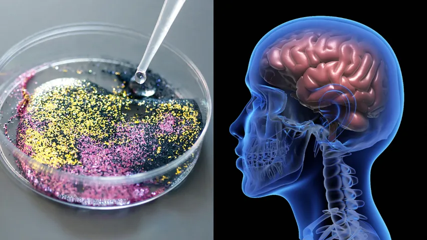 brain Micro plastic