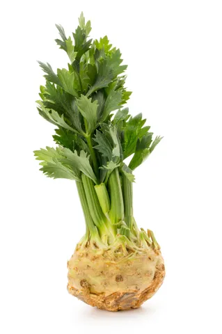 Celery