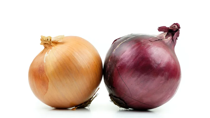 red onion vs white onion
