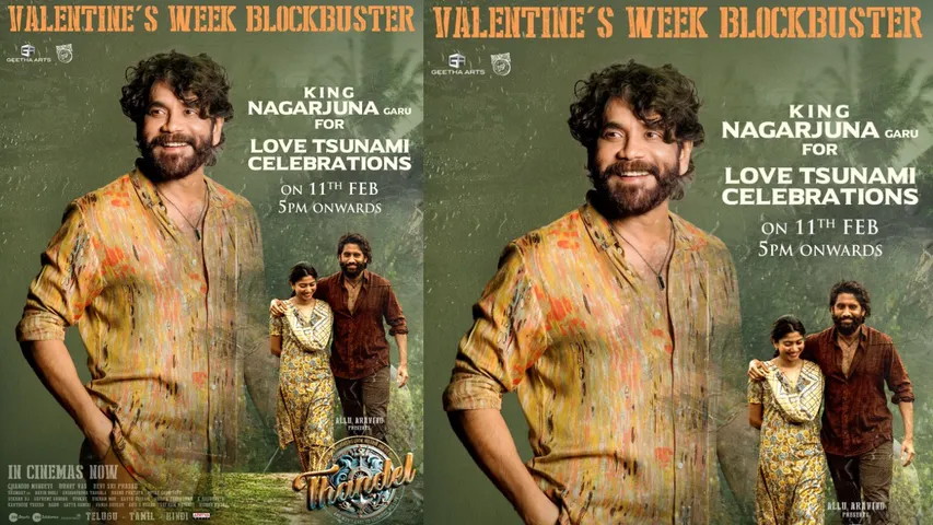 nagarjuna thandel success meet