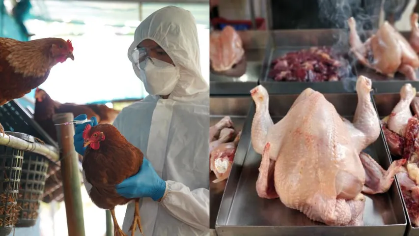 chicken prices 