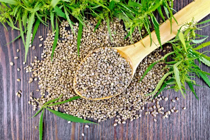 Hemp seeds