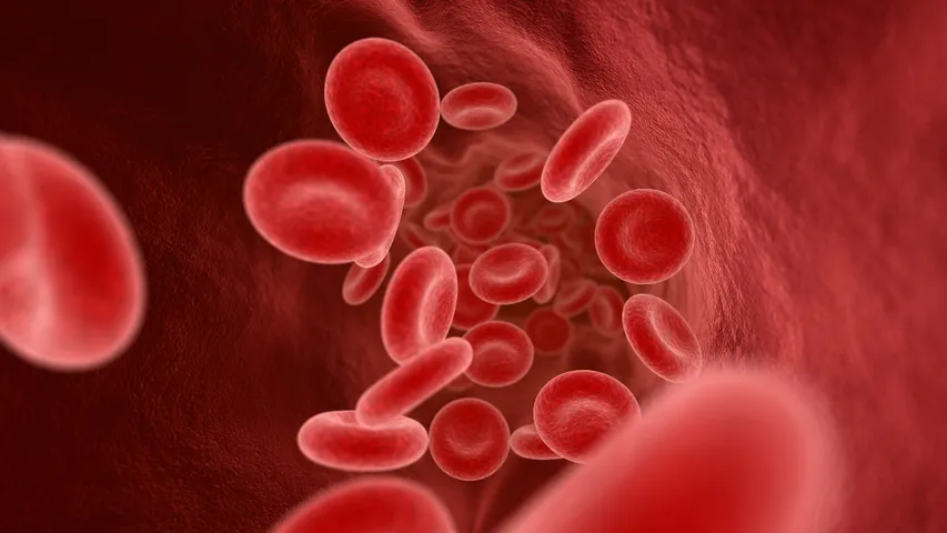 anemia Vs food