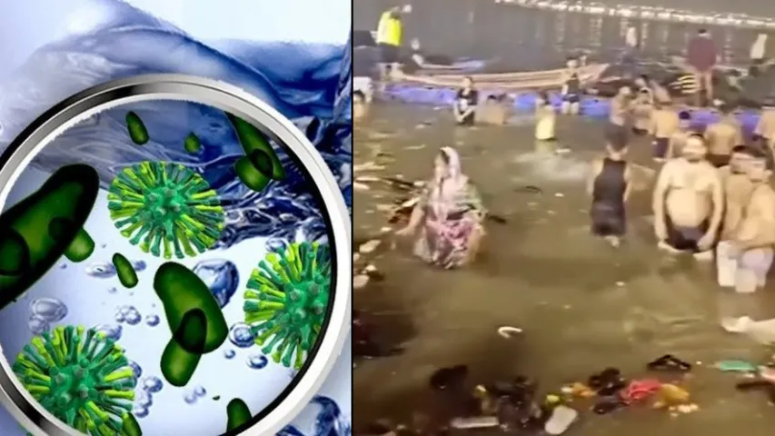 Coliform bacteria