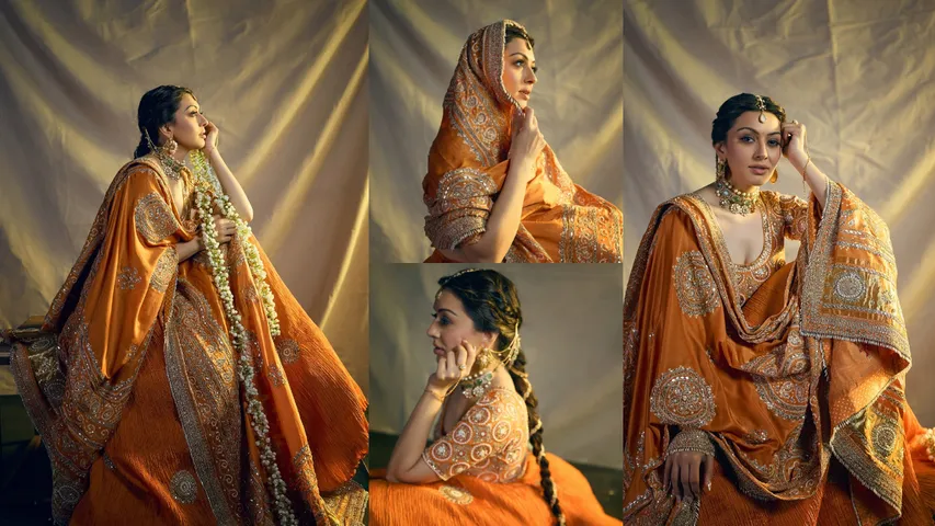 hansika desi look