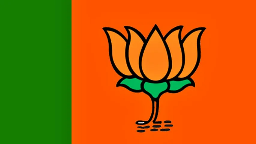 bjp adr report