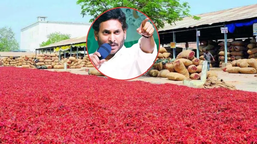YS Jagan to Visit Guntur Chilli Yard today