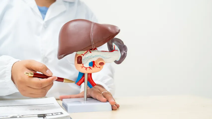 Liver 