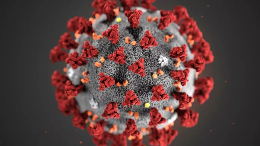 virus