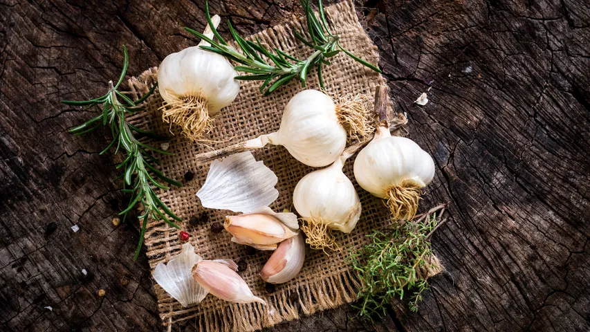 garlic