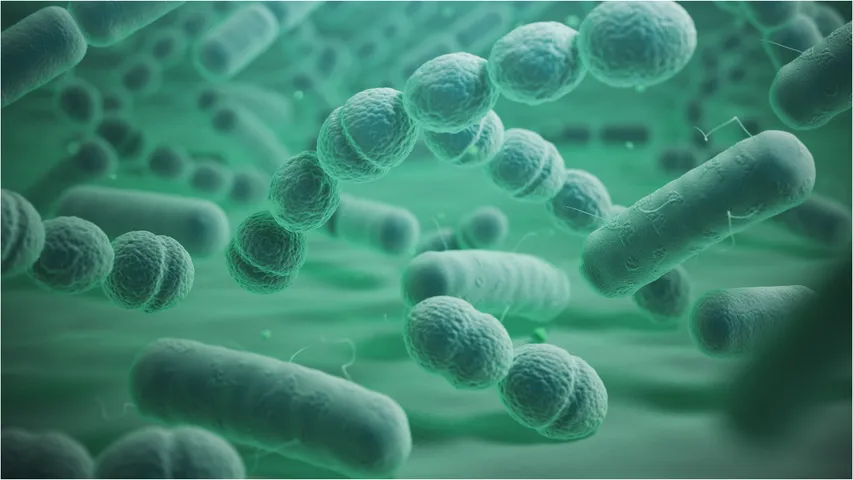 Good Bacteria