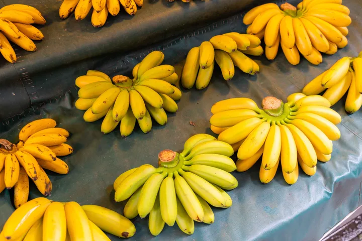 banana Vs curd 