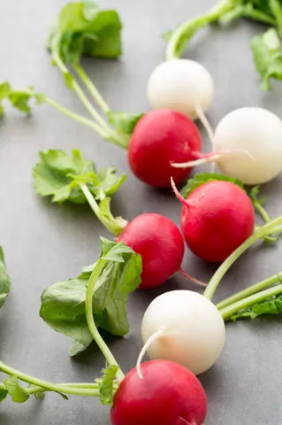 radish tea 