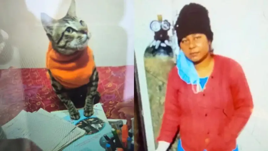 Womans Cat Dies She Keeps Body For 2 Days Then Kills Herself In Uttar Pradeshs Amroha
