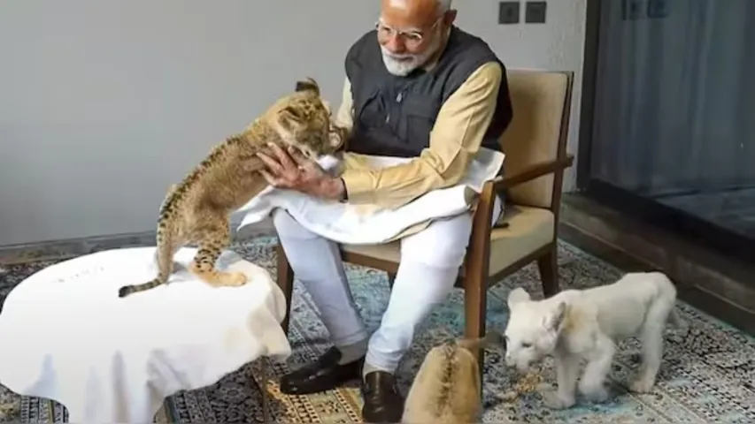 PM Modi Inaugurates Wildlife Centre At Vantara