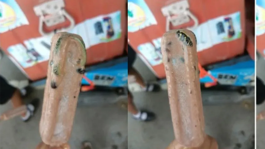 snake in ice cream