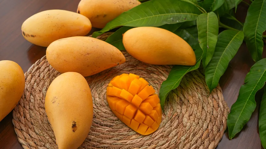 Mango