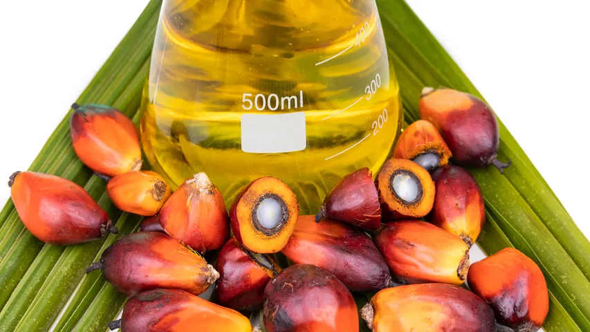 PalmOil