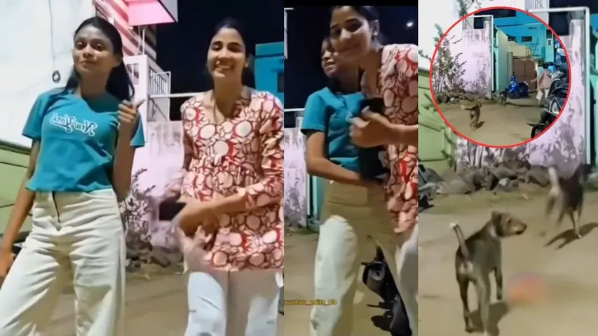 Two young women reels videos on road were chased by stray dogs