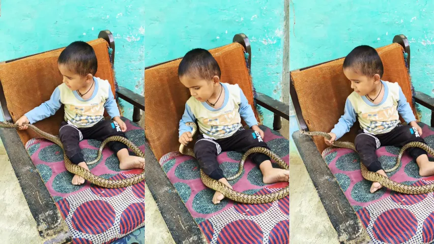 kid playing with snake