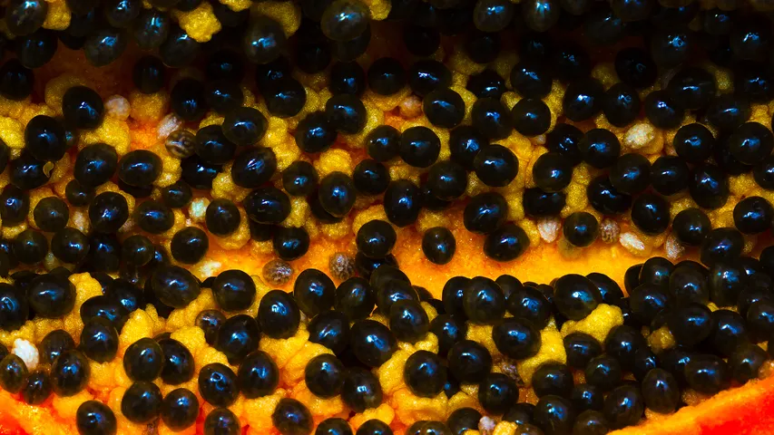 Papaya Seeds