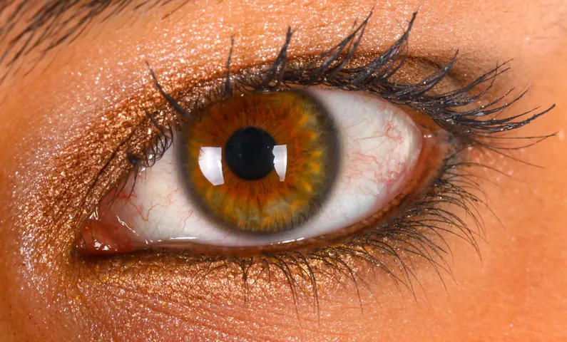 eye sight 