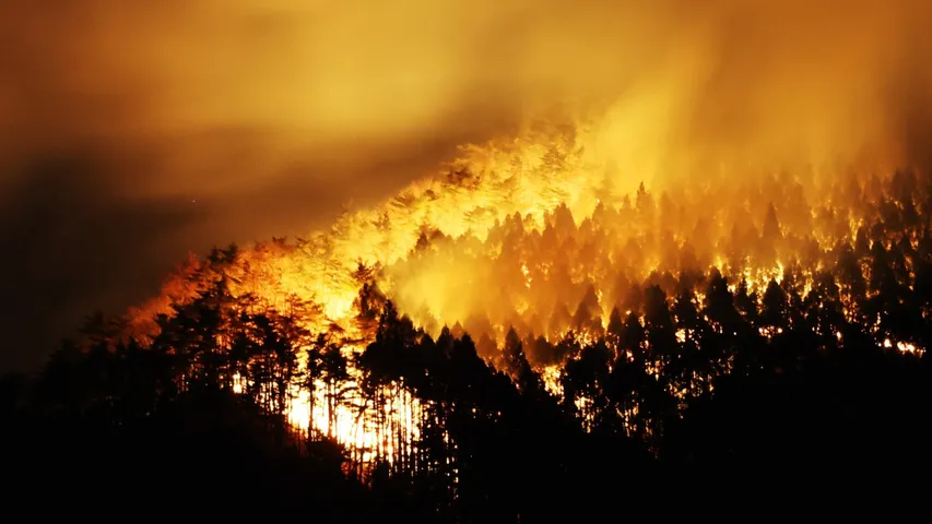 Wildfire in Japan