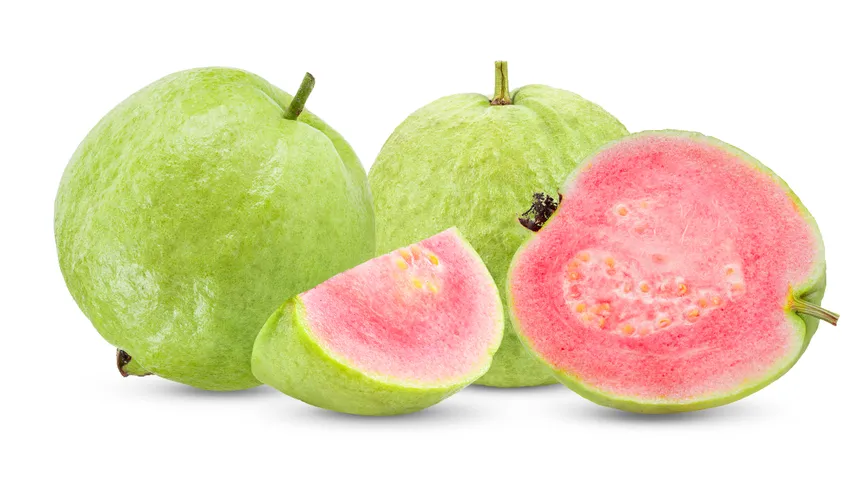 Guava Fruit