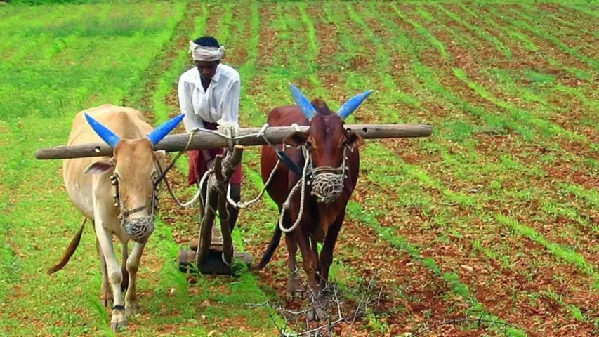 pm kisan samman nidhi Scheme