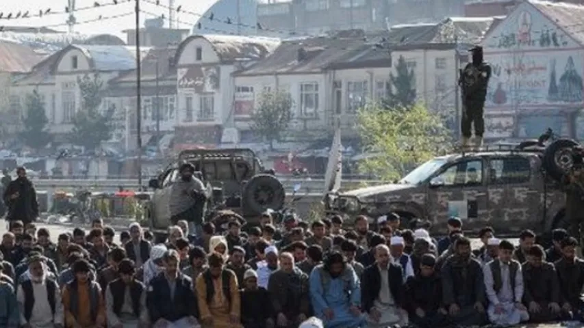 afghan