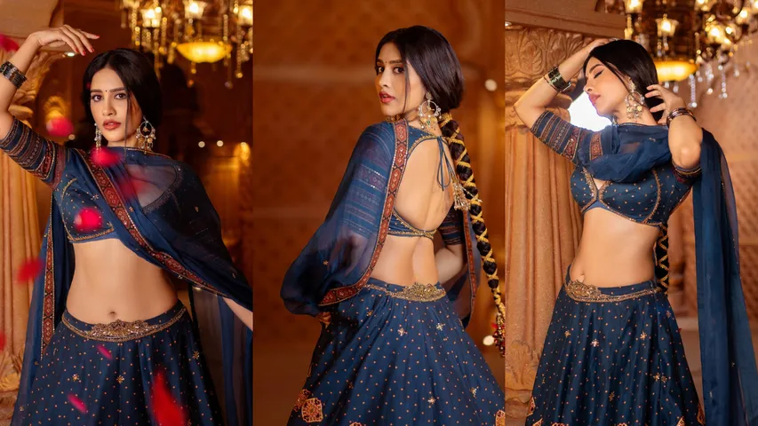 Nabha Natesh half saree