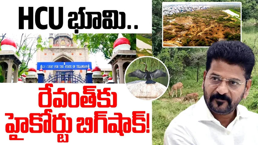 HCU land high court