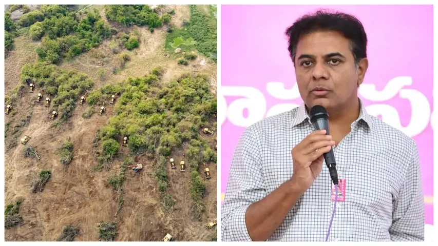  Ktr Write A Letter On Kancha Gachibowli Forest