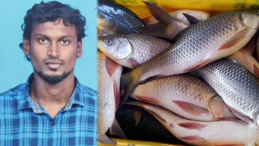 fish tamil nadu