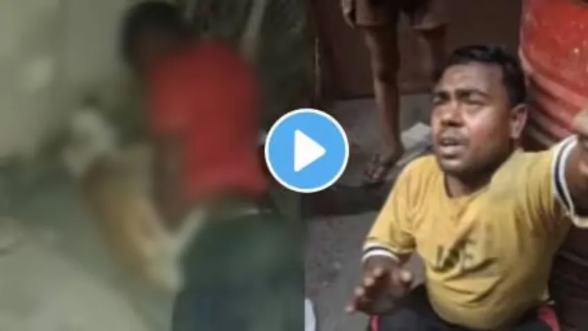 Delhi Man Rapes At Least 13 Stray Dogs