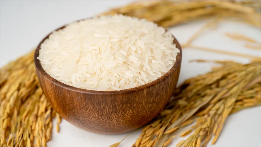Rice