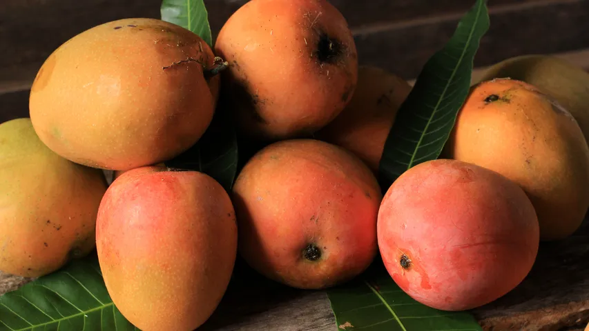 Mangoes
