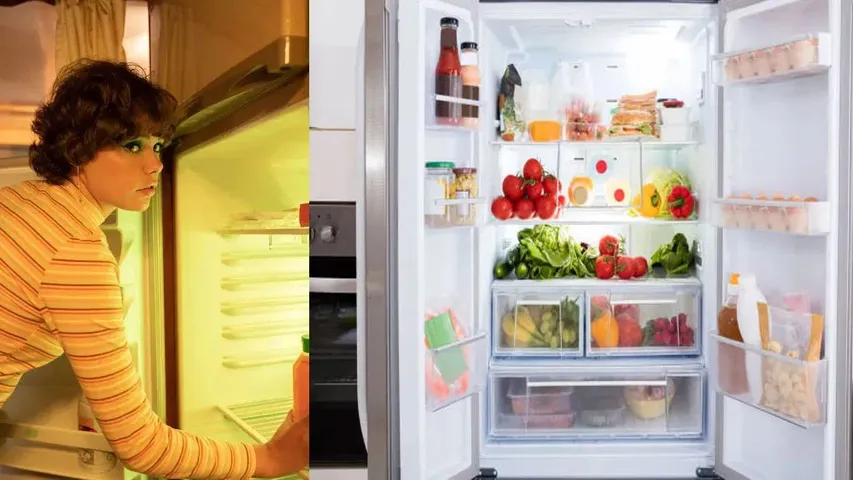 Refrigerator Tips how many times switch off refrigerator everyday is it good or no