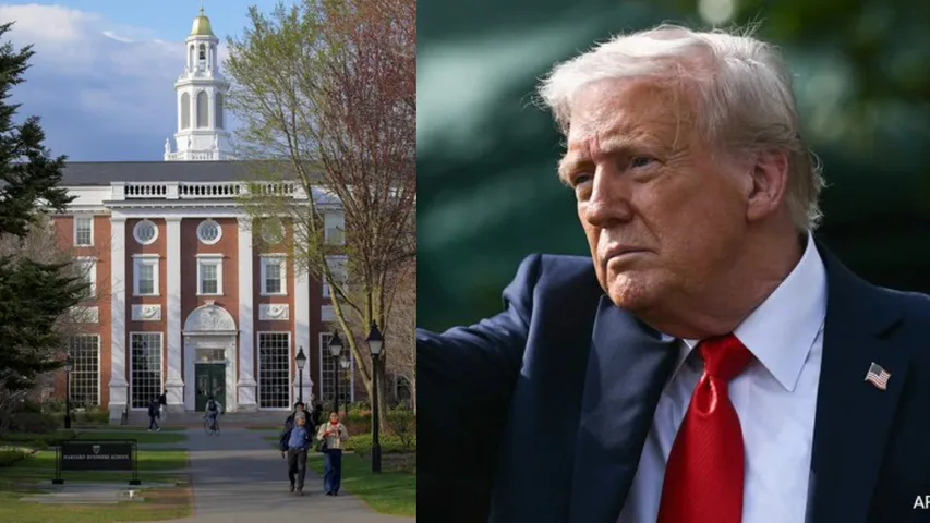 trump harvard