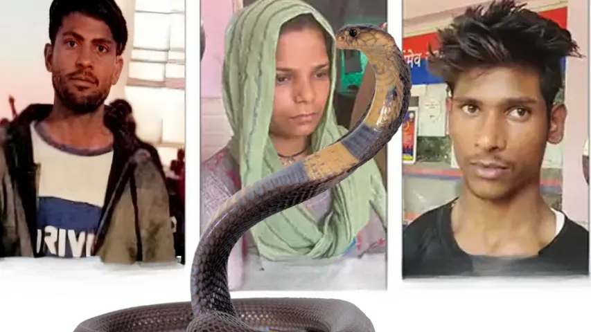 Meerut woman kills husband