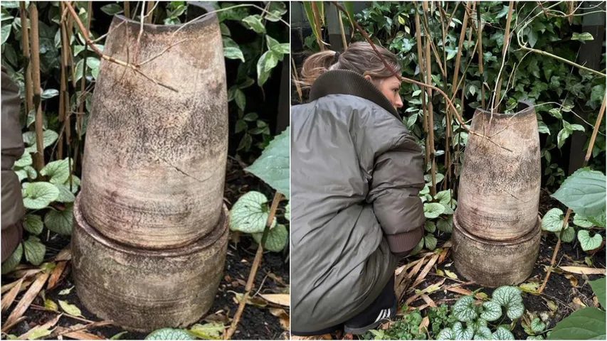 UK Garden