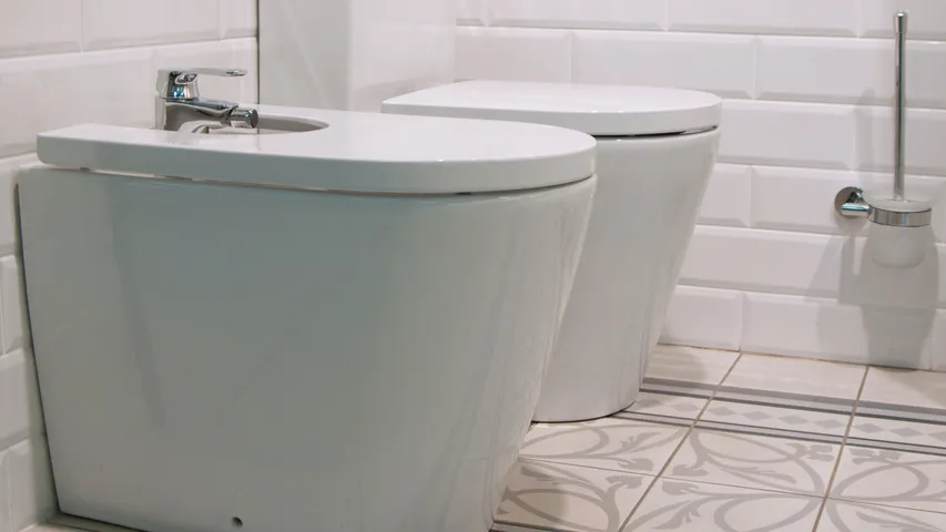 toilets dual flushes