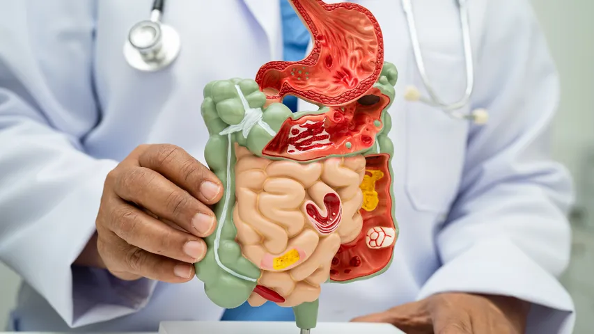 Gut health