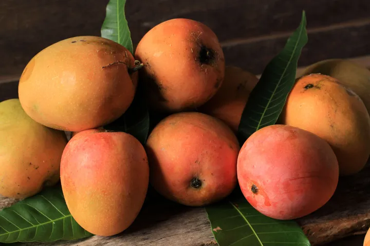 mangos
