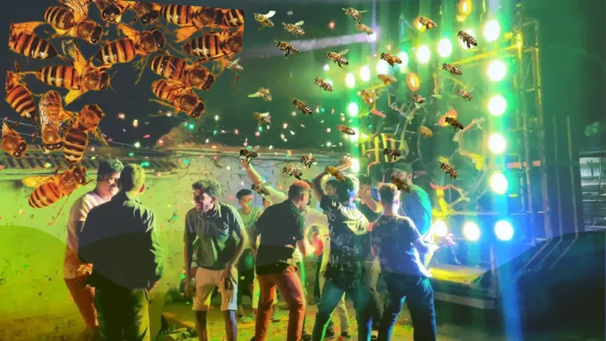 Honey Bees Attack