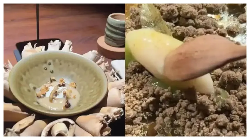 Elephant Dung Dessert 