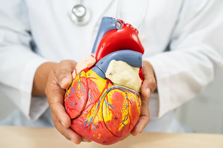 Heart Diseases