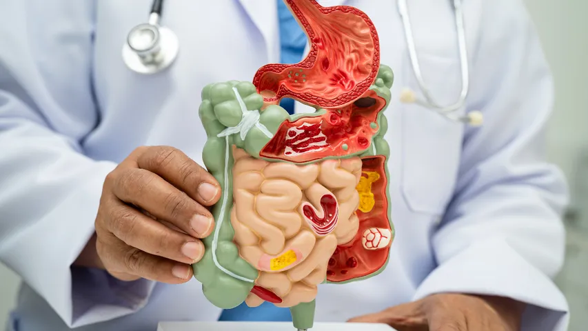 Digestion