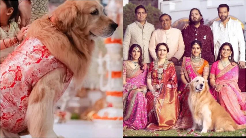 ananth ambani's  dog 'happy' passed away