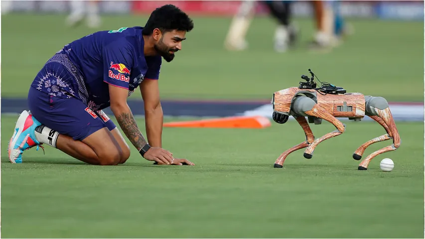 robo dog